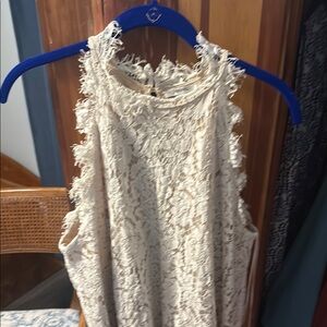 Elegant Cream Lace Women's Top